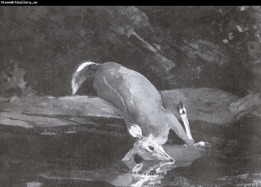 Winslow Homer The deer stumble